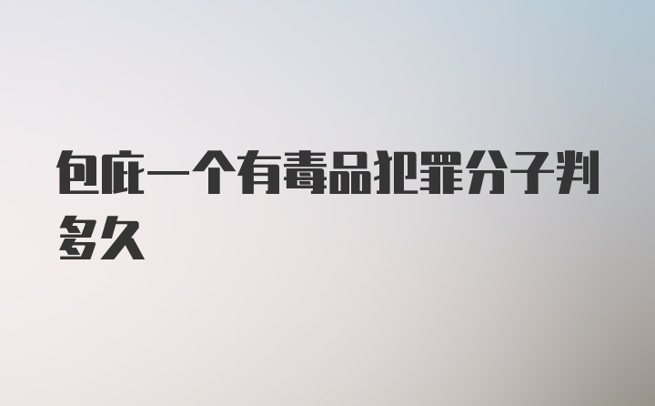 包庇一个有毒品犯罪分子判多久