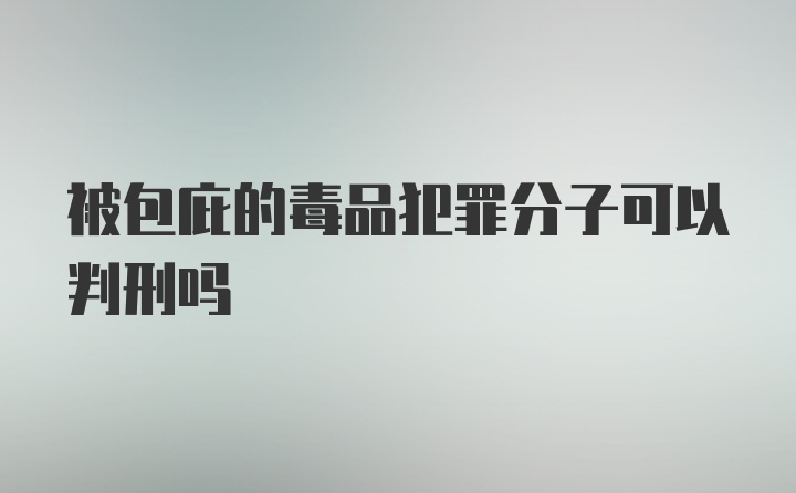 被包庇的毒品犯罪分子可以判刑吗