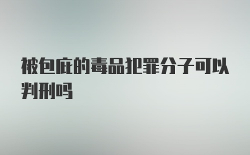 被包庇的毒品犯罪分子可以判刑吗