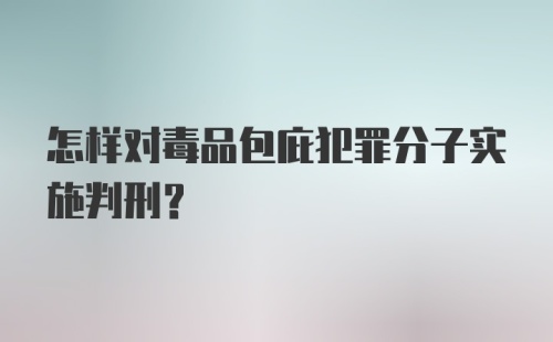 怎样对毒品包庇犯罪分子实施判刑？