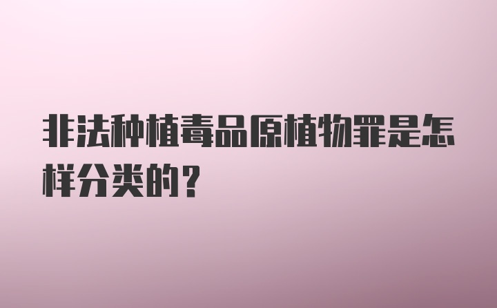 非法种植毒品原植物罪是怎样分类的?