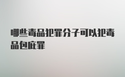 哪些毒品犯罪分子可以犯毒品包庇罪