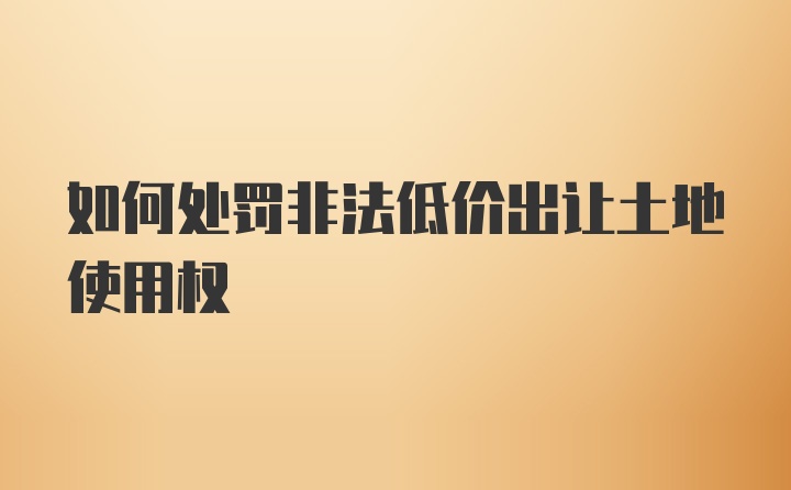 如何处罚非法低价出让土地使用权