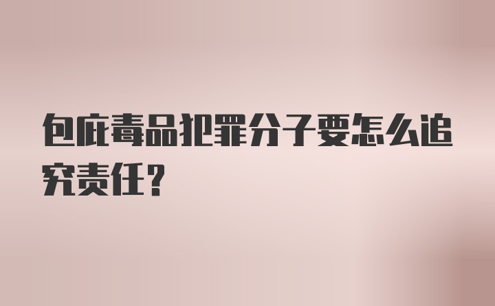 包庇毒品犯罪分子要怎么追究责任？