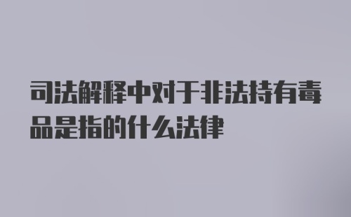 司法解释中对于非法持有毒品是指的什么法律