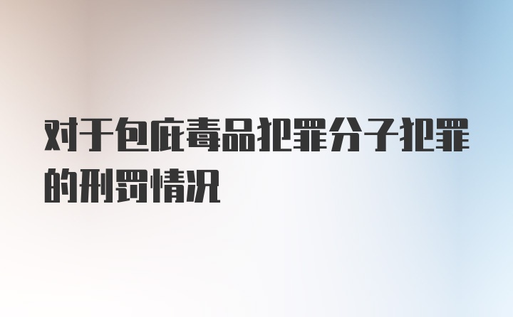 对于包庇毒品犯罪分子犯罪的刑罚情况