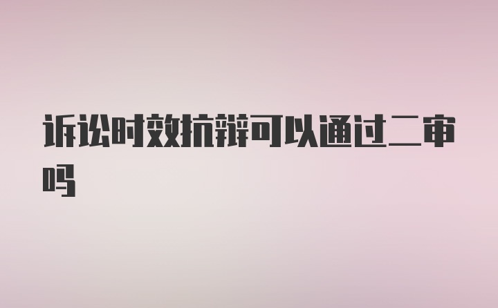 诉讼时效抗辩可以通过二审吗