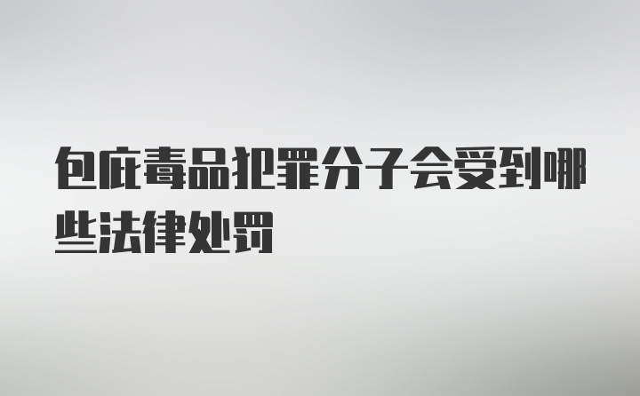 包庇毒品犯罪分子会受到哪些法律处罚