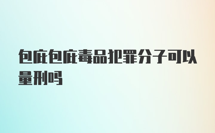 包庇包庇毒品犯罪分子可以量刑吗