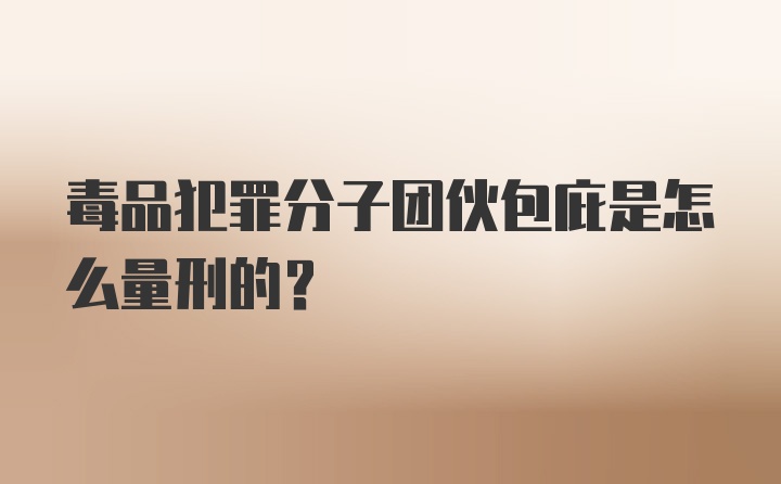 毒品犯罪分子团伙包庇是怎么量刑的？