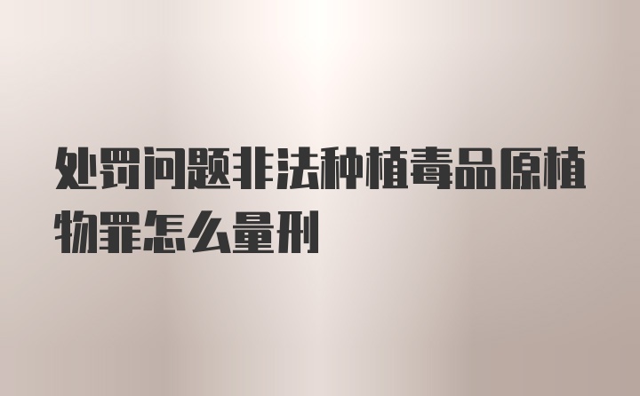 处罚问题非法种植毒品原植物罪怎么量刑