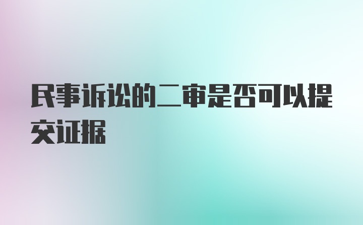 民事诉讼的二审是否可以提交证据