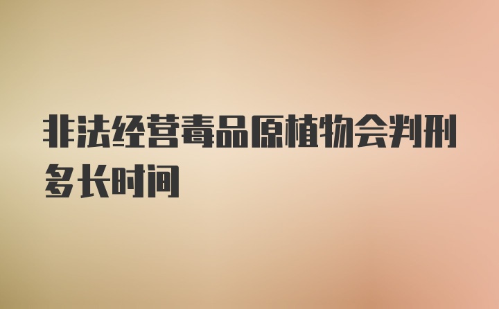 非法经营毒品原植物会判刑多长时间