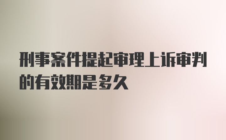 刑事案件提起审理上诉审判的有效期是多久