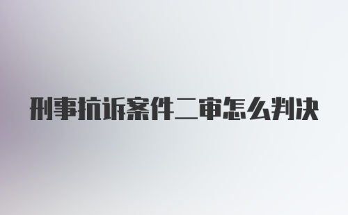 刑事抗诉案件二审怎么判决