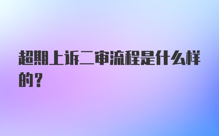 超期上诉二审流程是什么样的？