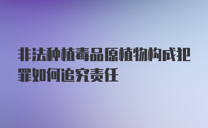 非法种植毒品原植物构成犯罪如何追究责任