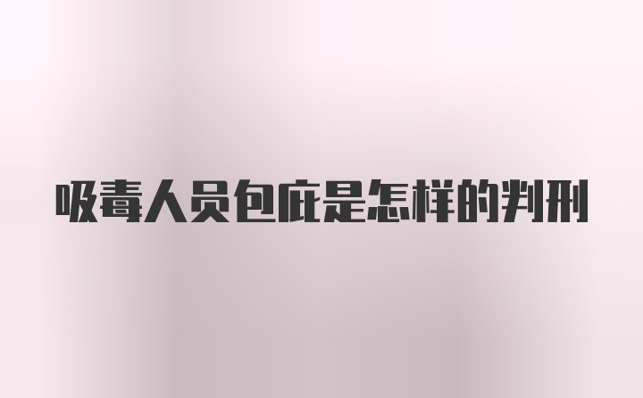 吸毒人员包庇是怎样的判刑