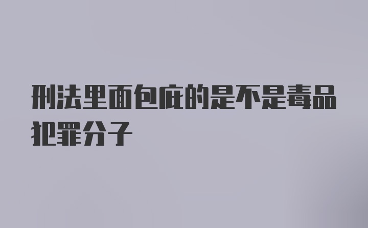 刑法里面包庇的是不是毒品犯罪分子