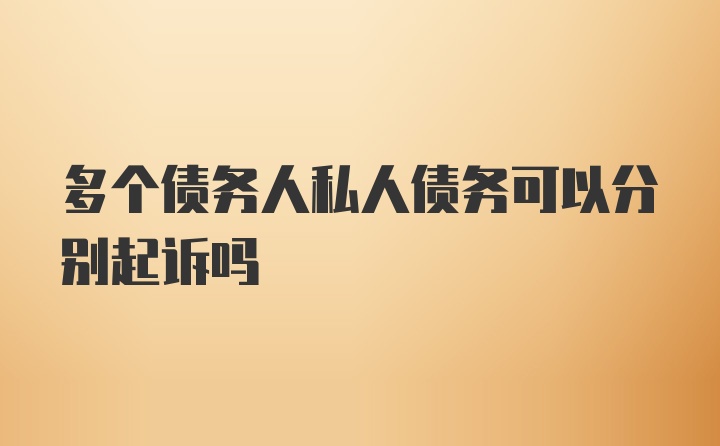 多个债务人私人债务可以分别起诉吗