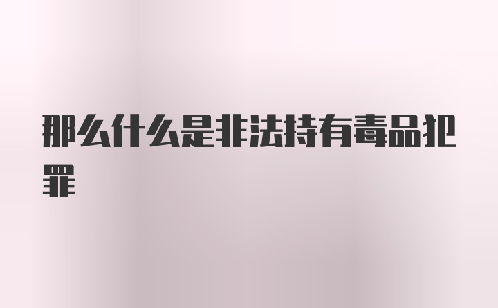 那么什么是非法持有毒品犯罪