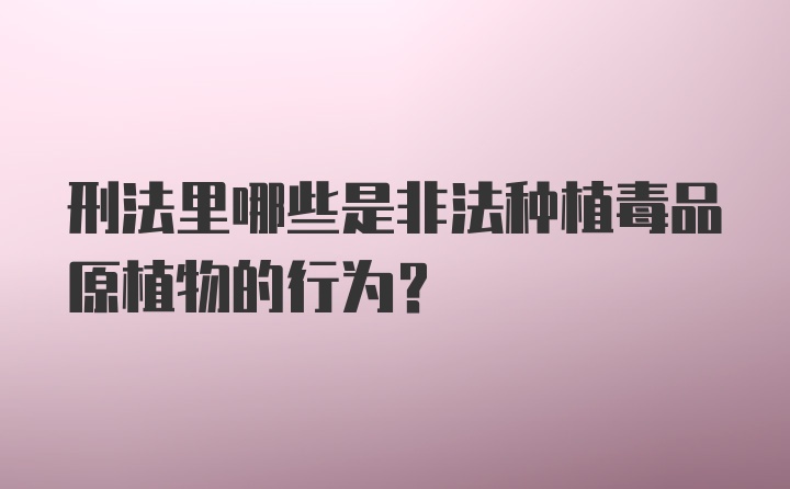 刑法里哪些是非法种植毒品原植物的行为？