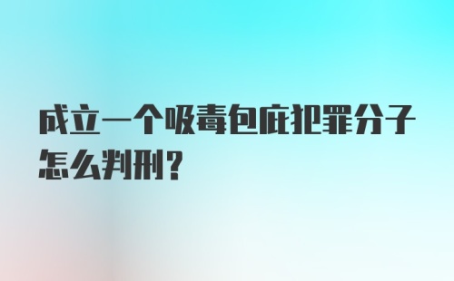 成立一个吸毒包庇犯罪分子怎么判刑?