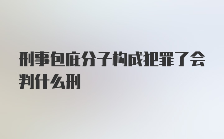 刑事包庇分子构成犯罪了会判什么刑