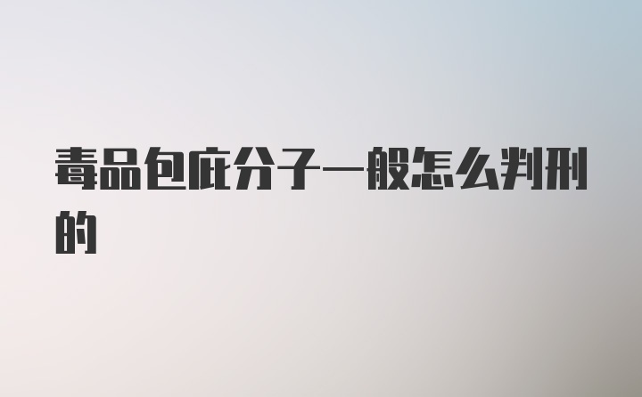 毒品包庇分子一般怎么判刑的