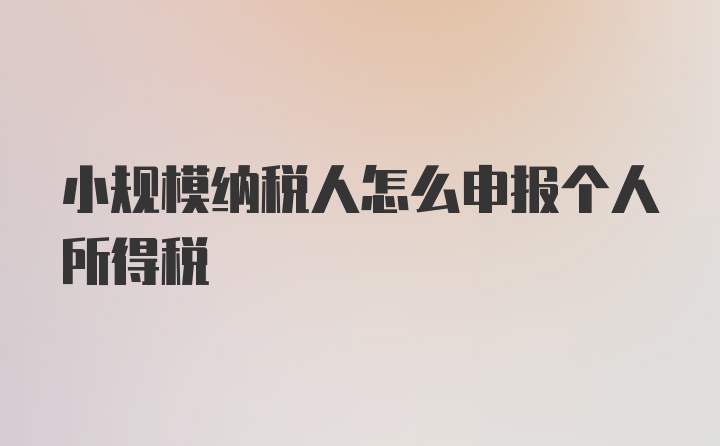 小规模纳税人怎么申报个人所得税