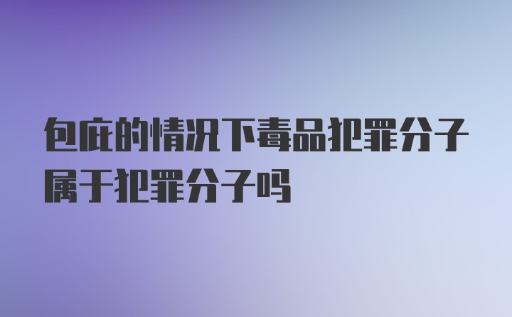 包庇的情况下毒品犯罪分子属于犯罪分子吗