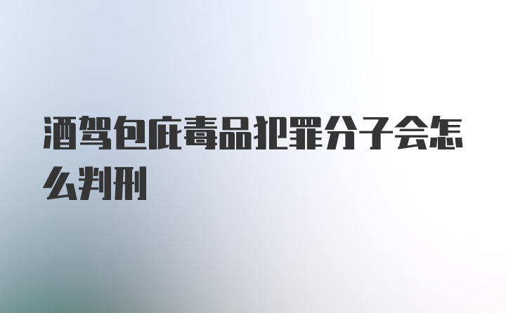 酒驾包庇毒品犯罪分子会怎么判刑