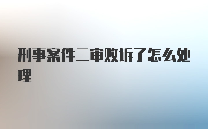 刑事案件二审败诉了怎么处理