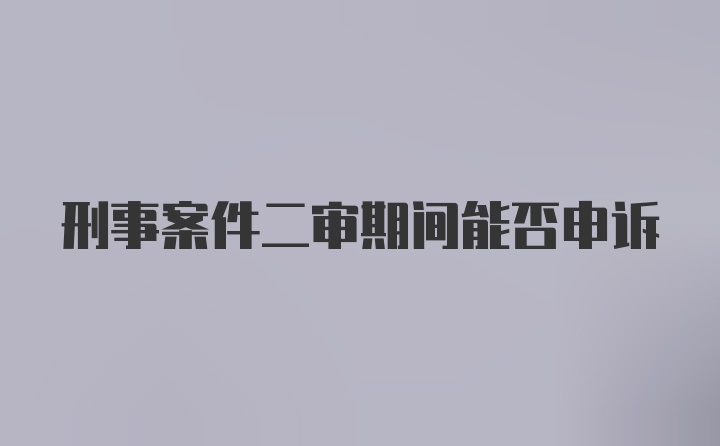 刑事案件二审期间能否申诉