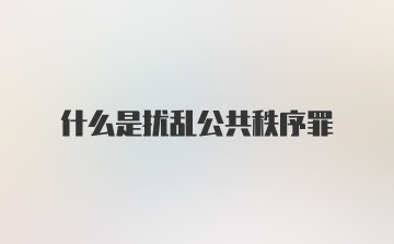 什么是扰乱公共秩序罪