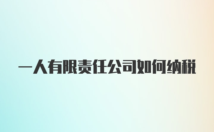 一人有限责任公司如何纳税