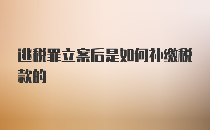 逃税罪立案后是如何补缴税款的