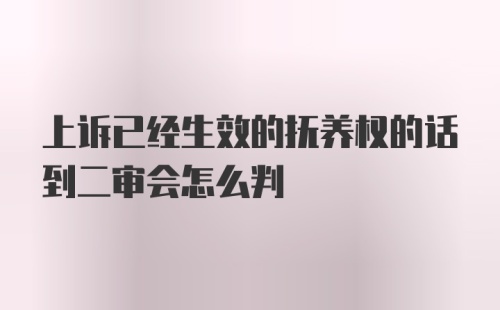 上诉已经生效的抚养权的话到二审会怎么判