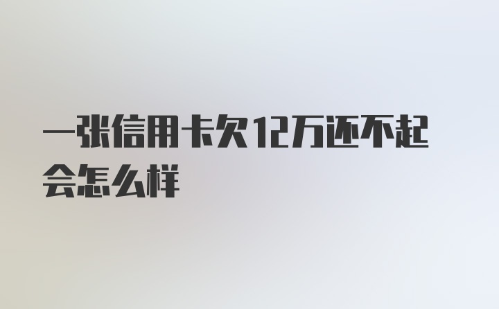 一张信用卡欠12万还不起会怎么样