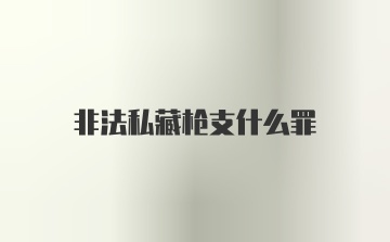 非法私藏枪支什么罪