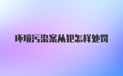 环境污染案从犯怎样处罚