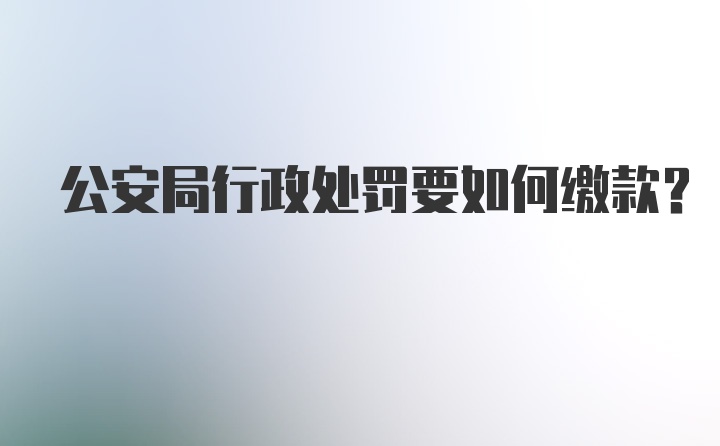 公安局行政处罚要如何缴款？