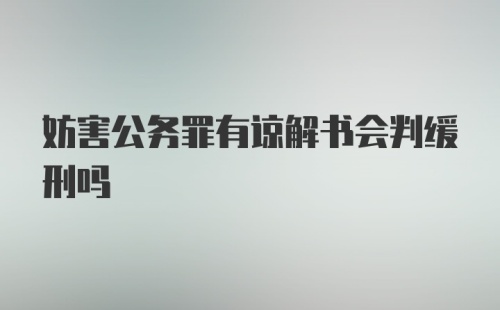 妨害公务罪有谅解书会判缓刑吗