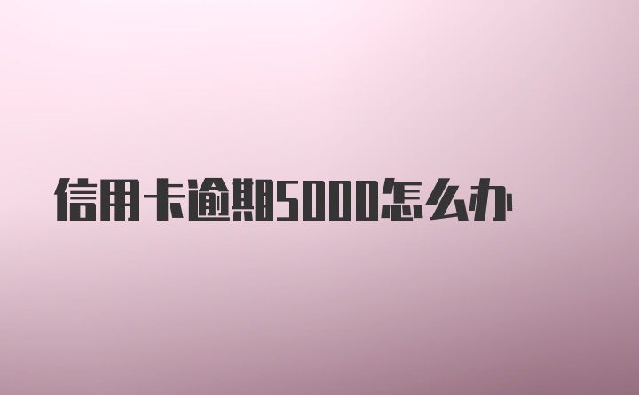 信用卡逾期5000怎么办