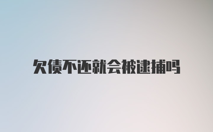 欠债不还就会被逮捕吗