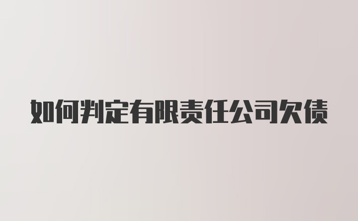 如何判定有限责任公司欠债