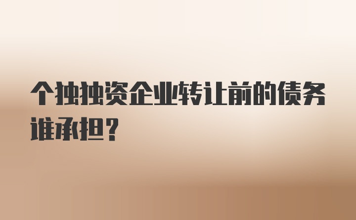 个独独资企业转让前的债务谁承担？