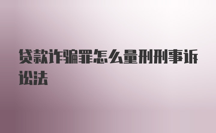 贷款诈骗罪怎么量刑刑事诉讼法