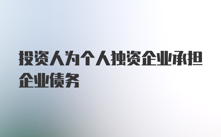 投资人为个人独资企业承担企业债务