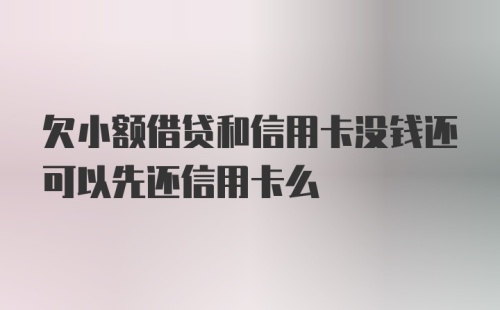 欠小额借贷和信用卡没钱还可以先还信用卡么